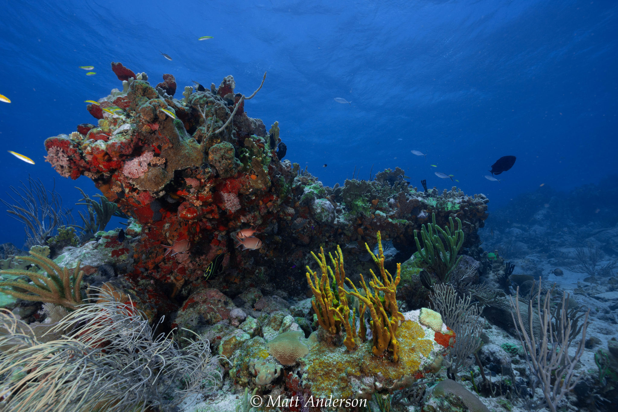 Dive Sites – Sail Caribbean Divers